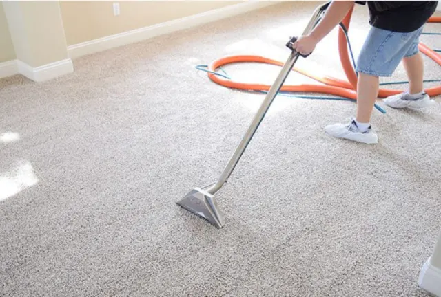 Bear Carpet Care cleaning a living room carpet